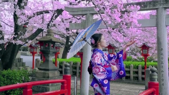 ASIA 2025 -  poca de Cherry Blossom en Japn